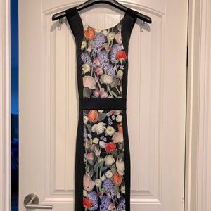 Ted Baker Size 1 Kensington body con dress